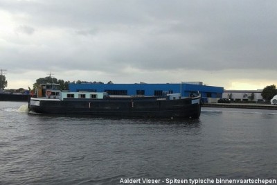 COLIBRI (8).jpg (64.9 Kio) Vu 2335 fois COLIBRI (8).jpg