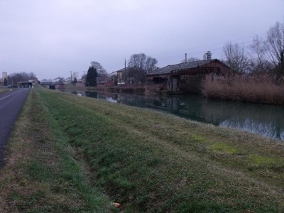 DSCF1275.JPG