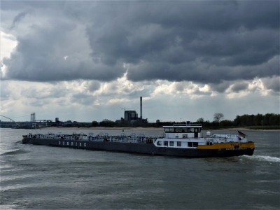 Tizian-4-12-04-2019-Oosterhout (2).jpg (65.81 Kio) Vu 1310 fois Tizian-4-12-04-2019-Oosterhout (2).jpg