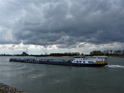 Tizian-3-12-04-2019-Oosterhout (2).jpg (61.41 Kio) Vu 1310 fois Tizian-3-12-04-2019-Oosterhout (2).jpg