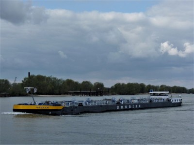 Tizian-2-12-04-2019-Oosterhout (2).jpg (53.55 Kio) Vu 1310 fois Tizian-2-12-04-2019-Oosterhout (2).jpg