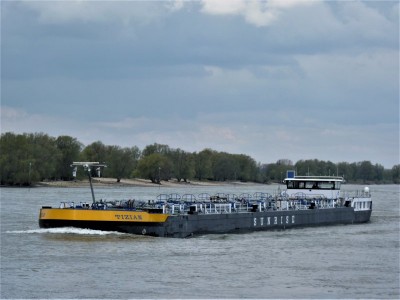 Tizian-1-12-04-2019-Oosterhout (2).jpg (66.06 Kio) Vu 1310 fois Tizian-1-12-04-2019-Oosterhout (2).jpg