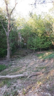 20200411_191528 (Copier).jpg (100.86 Kio) Vu 4135 fois 20200411_191528 (Copier).jpg