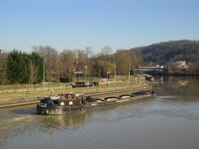 bonsaï-ar.JPG