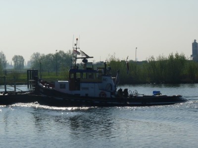 marga-5-08-04-2011.jpg