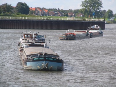 kroonland-seabird-1-02-09-2007.JPG