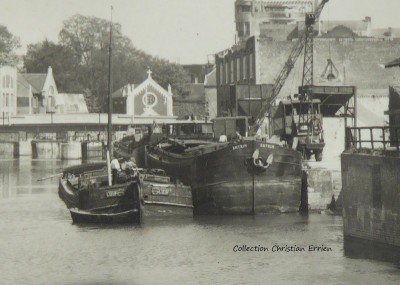 P1050247 (2).JPG (203.98 Kio) Vu 4478 fois P1050247 (2).JPG