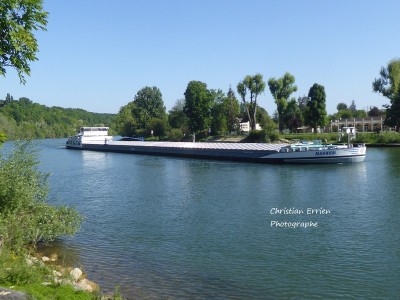 Magnum Thomery3 - Copie.JPG (205.08 Kio) Vu 4107 fois Magnum Thomery3 - Copie.JPG