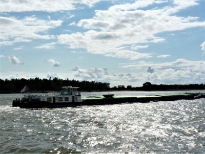 7.jpg (102.89 Kio) Vu 1478 fois 7.jpg