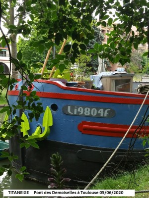 TITANEIGE Vagus 02.jpg (276.47 Kio) Vu 2298 fois TITANEIGE Vagus 02.jpg