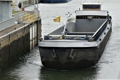 1.jpg (85.63 Kio) Vu 1601 fois 1.jpg