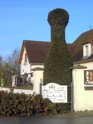 PICT1804CHAMPAGNI.jpg (175.12 Kio) Vu 1095 fois PICT1804CHAMPAGNI.jpg