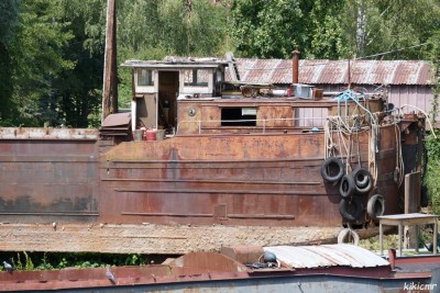 LENA + DAGO - juillet 2020 (4).JPG (225.86 Kio) Vu 7452 fois LENA + DAGO - juillet 2020 (4).JPG