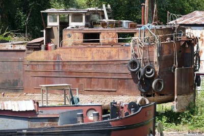 LENA + DAGO - juillet 2020 (7).JPG (208.29 Kio) Vu 7534 fois LENA + DAGO - juillet 2020 (7).JPG