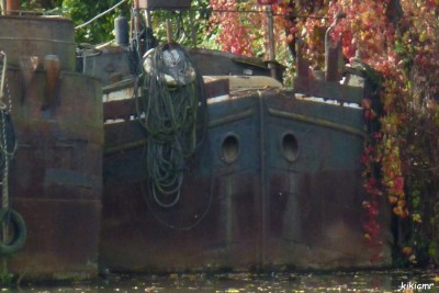 DAGO + PORTA NIGRA - octobre 2012 (3).JPG (128.95 Kio) Vu 3797 fois DAGO + PORTA NIGRA - octobre 2012 (3).JPG