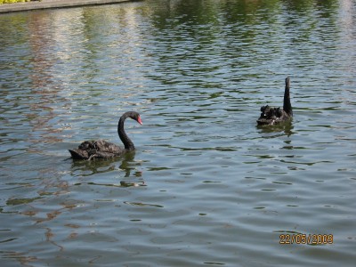 IMG_0082.JPG