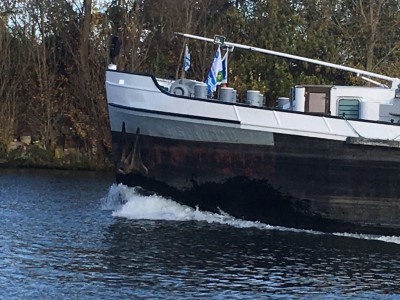 Amazonia p.jpg (232.19 Kio) Vu 2247 fois Amazonia p.jpg