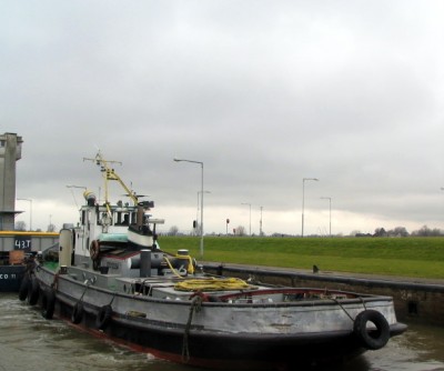trekvogel617022009.jpg