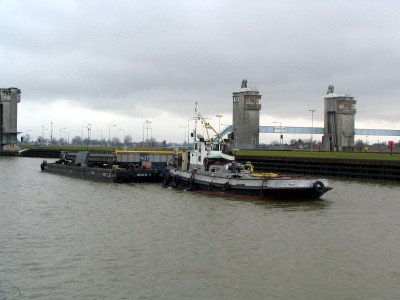 trekvogel517022009.jpg