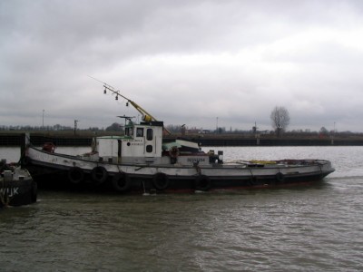 trekvogel217022009.jpg