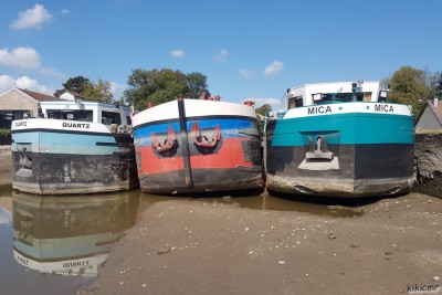 QUARTZ NOBIS MICA Thaon 20200921 (1).jpg (139.92 Kio) Vu 8117 fois QUARTZ NOBIS MICA Thaon 20200921 (1).jpg