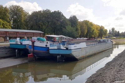 QUARTZ NOBIS MICA Thaon 20200921 (4).jpg (167.36 Kio) Vu 8117 fois QUARTZ NOBIS MICA Thaon 20200921 (4).jpg