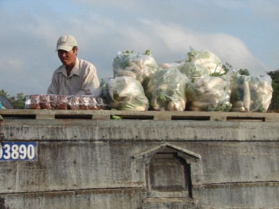 DSC02887.JPGa.jpg (119.14 Kio) Vu 1439 fois DSC02887.JPGa.jpg