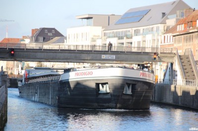 IMG_1711_1.JPG (137.89 Kio) Vu 2056 fois IMG_1711_1.JPG