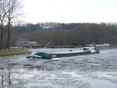 2010-1-16-Idefix26.JPG (110.46 Kio) Vu 5161 fois 2010-1-16-Idefix26.JPG