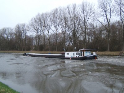 2010-1-16-Idefix21.JPG (135.35 Kio) Vu 5163 fois 2010-1-16-Idefix21.JPG