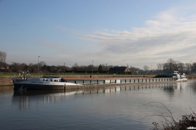 IMG_1784_1.JPG