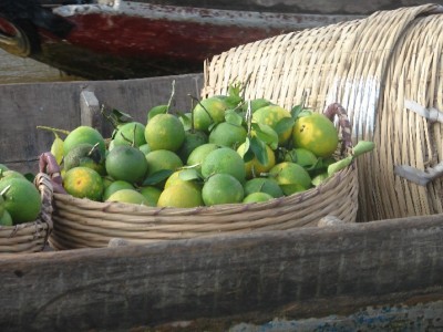 DSC02895.JPGa.jpg (117.33 Kio) Vu 1439 fois DSC02895.JPGa.jpg