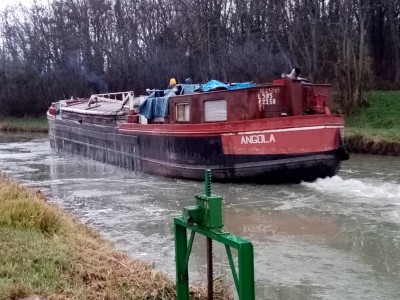 IMG_20210112_171155 (800x600).jpg (351.36 Kio) Vu 6170 fois IMG_20210112_171155 (800x600).jpg