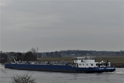 Solano-5-16-01-2021-Wellerlooi (2).JPG