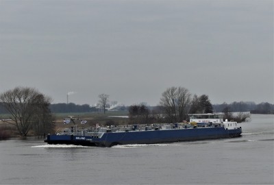Solano-1-16-01-2021-Wellerlooi (2).JPG