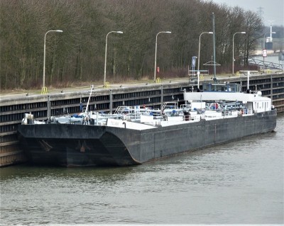 tejaro-1-19-03-2010 (2).JPG (263.55 Kio) Vu 1226 fois tejaro-1-19-03-2010 (2).JPG