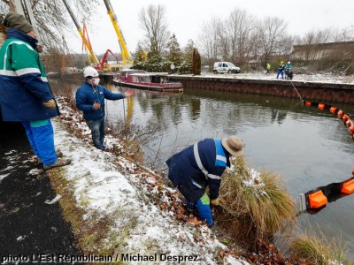 Botans (31).jpg (255.37 Kio) Vu 2689 fois Botans (31).jpg