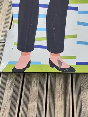 pied (Copier).jpg (71.4 Kio) Vu 4389 fois pied (Copier).jpg