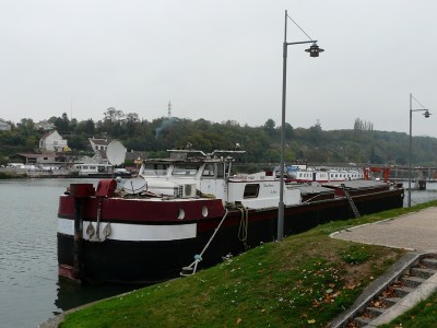 dajo-ar.JPG