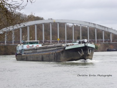 P1010243 - Copie.JPG (196.69 Kio) Vu 1990 fois P1010243 - Copie.JPG