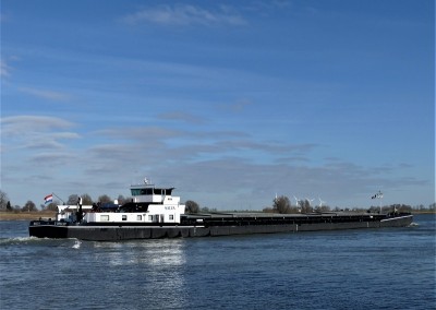 Salva-2-24-02-2021-Ewijk (2).JPG (161.02 Kio) Vu 1055 fois Salva-2-24-02-2021-Ewijk (2).JPG