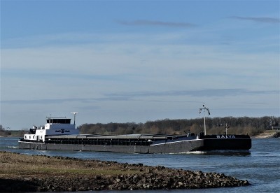 Salva-1-24-02-2021-Ewijk (2).JPG (169.3 Kio) Vu 1055 fois Salva-1-24-02-2021-Ewijk (2).JPG