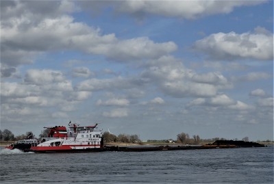 Veerhaven-IV-Neushoorn-6-23-02-2021-Ewijk (2).JPG