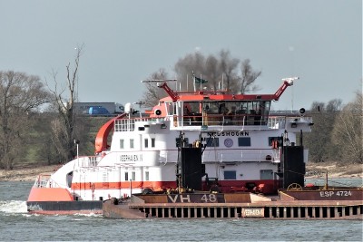 Veerhaven-IV-Neushoorn-2-23-02-2021-Ewijk (2).JPG