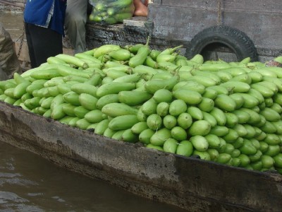 DSC02924.JPGa.jpg (129.31 Kio) Vu 1441 fois DSC02924.JPGa.jpg