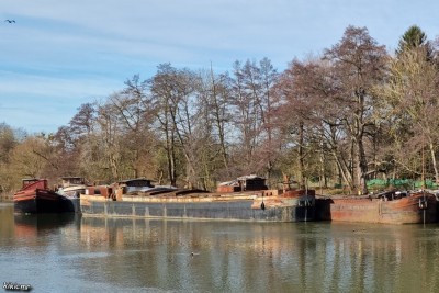 Hanweiler - mi-février 2021 - RAMSES (1).jpg (190.26 Kio) Vu 8943 fois Hanweiler - mi-février 2021 - RAMSES (1).jpg