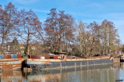 Hanweiler - mi-février 2021 - RAMSES (3).jpg (219.46 Kio) Vu 8937 fois Hanweiler - mi-février 2021 - RAMSES (3).jpg