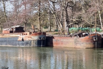 Hanweiler - mi-février 2021 - RAMSES (2).jpg (241.4 Kio) Vu 8948 fois Hanweiler - mi-février 2021 - RAMSES (2).jpg