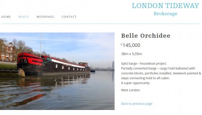 BELLE ORCHIDEE Londres (1).jpg