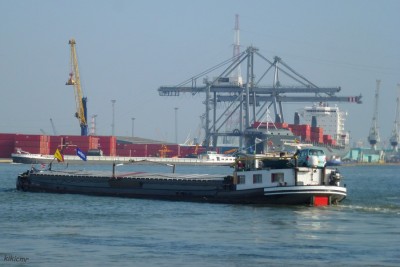 CONFIANCE à Anvers en septembre 2013 (3).JPG